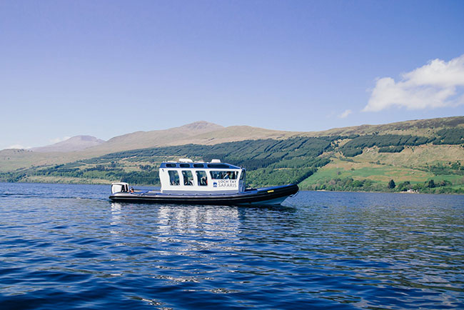 Loch Tay Safaris