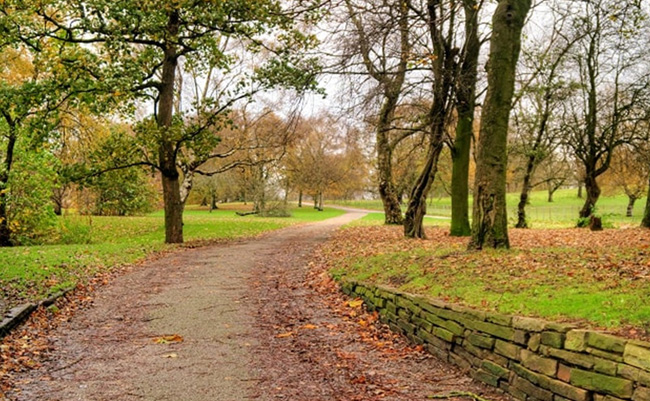 Walking in Park